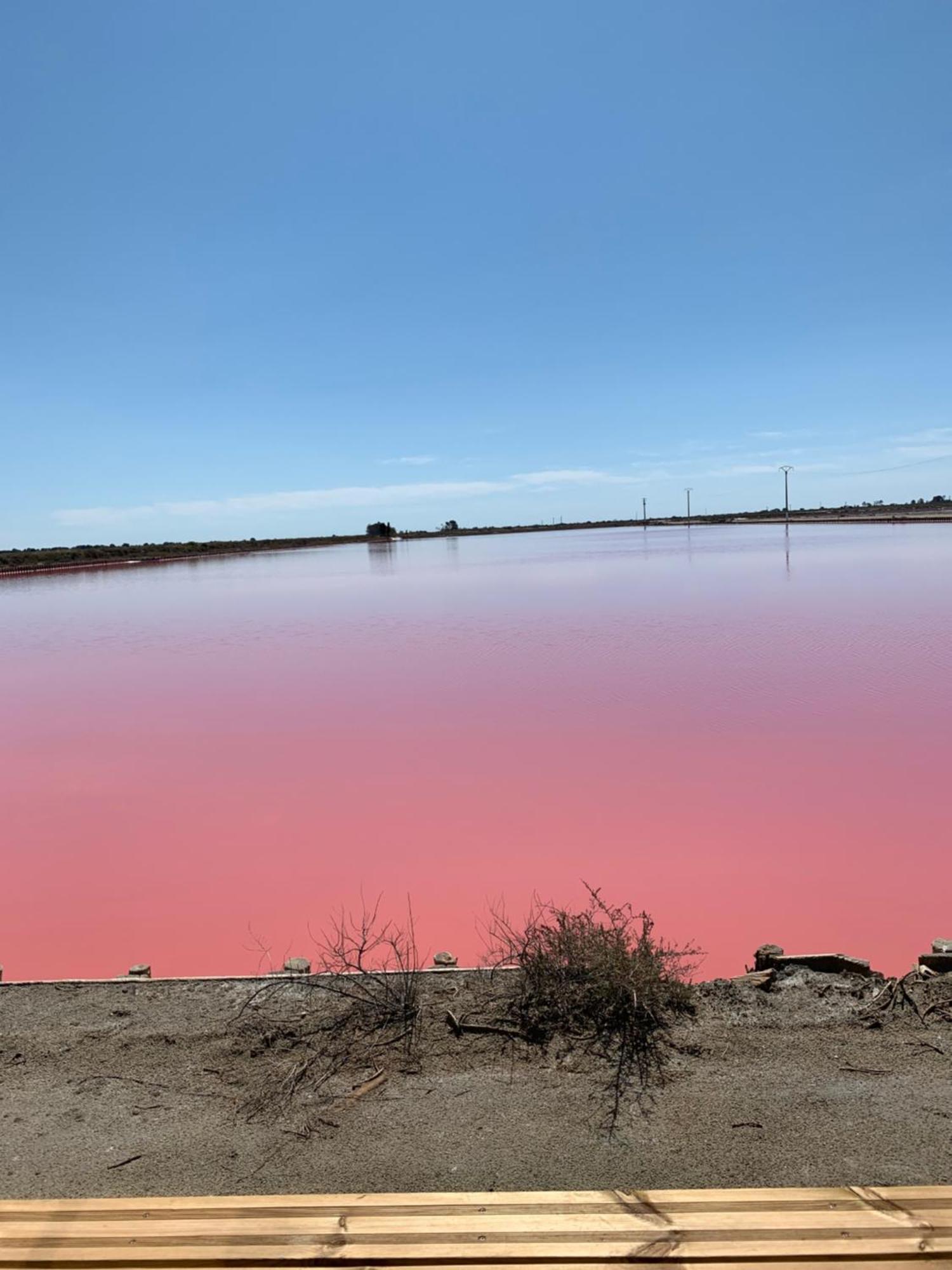 Nuits Salines Aigues-Mortes Exterior foto